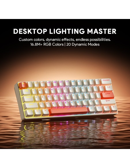 Clavier Mécanique Furycube TS61 Beige RGB – Red Switch | Compact 60% Gaming- Abidia madaghascar
