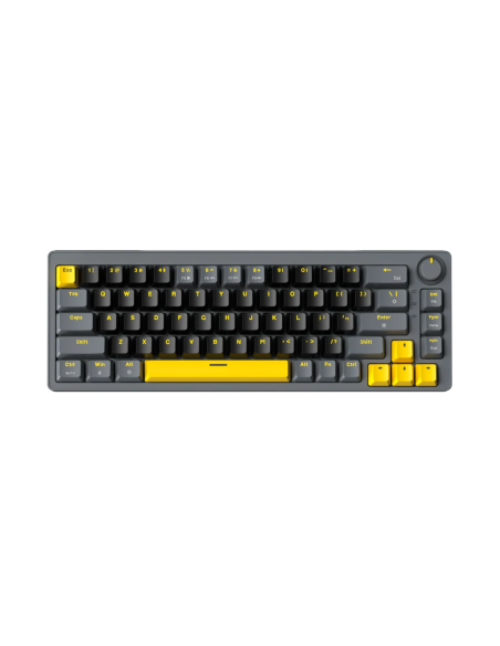 Clavier Mécanique Zifriend AG68 Hot-Swap 65% | Abidia Madagascar
