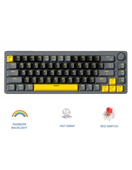 Clavier Mécanique Zifriend AG68 Hot-Swap 65% | Abidia Madagascar