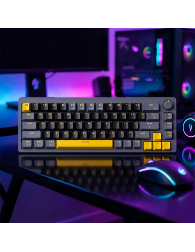 Clavier Mécanique Zifriend AG68 Hot-Swap 65% | Abidia Madagascar