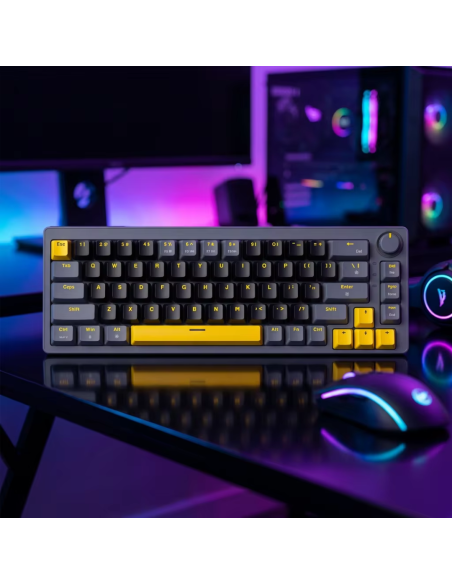 Clavier Mécanique Zifriend AG68 Hot-Swap 65% | Abidia Madagascar