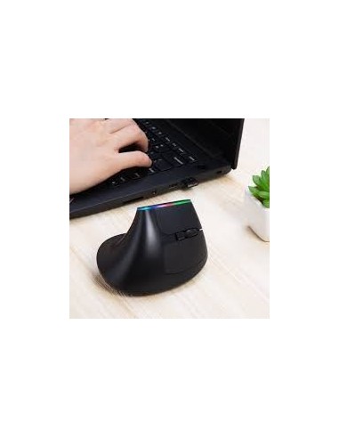 Delux Souris Ergonomique Sans Fil Verticale – 2,4G USB, 6 Boutons, 1600 DPI, Lumière RGB, Design Anti-Fatigue-Abidia Madagascar