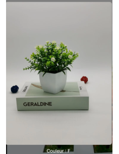 Plante artificielle en pot blanc – Décoration fleurs blanches - abidia Madagascar 2