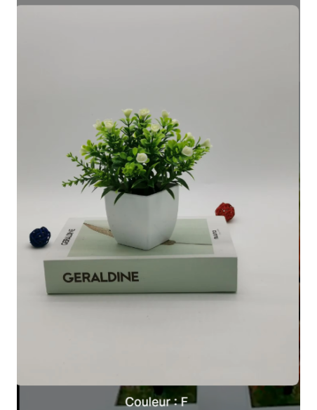 Plante artificielle en pot blanc – Décoration fleurs blanches - abidia Madagascar