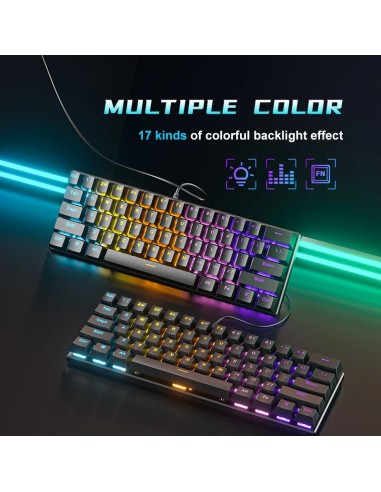 Clavier Mécanique BD61 (Switch Marron) Rétroéclairage Arc-en-ciel - Madagascar