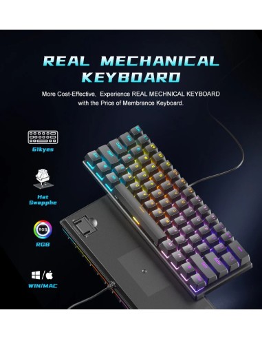 Clavier Mécanique BD61 (Switch Marron) Rétroéclairage Arc-en-ciel - Madagascar