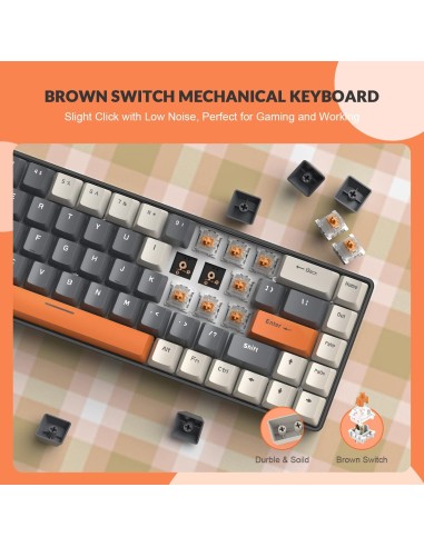 Ziyoulang T8 Clavier Mécanique 68 Touches (Switch Marron)  | Madagascar