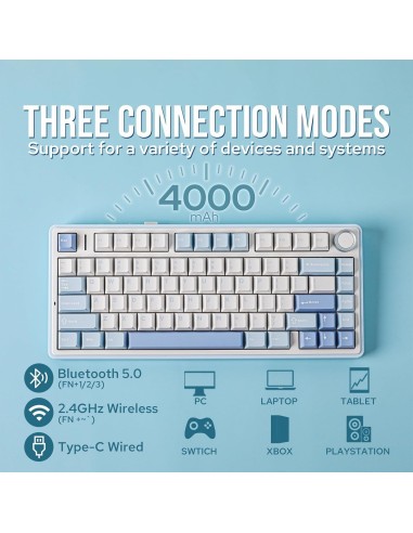 Clavier AULA F75 Bleu et Blanc -Tri-Mode Gasket Hot-Swap| Abidia Madagascar