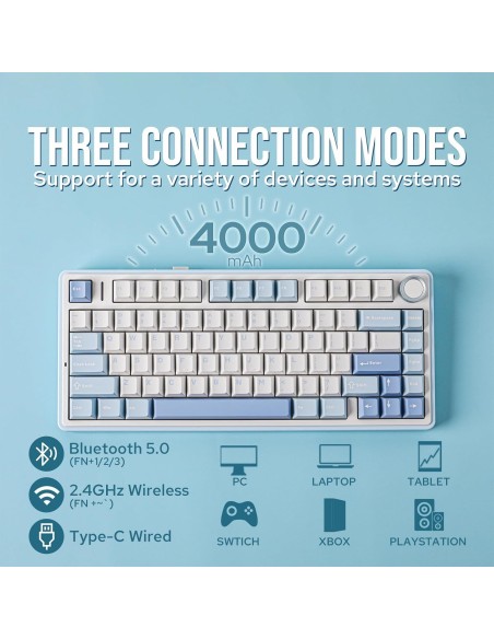Clavier AULA F75 Bleu et Blanc -Tri-Mode Gasket Hot-Swap| Abidia Madagascar