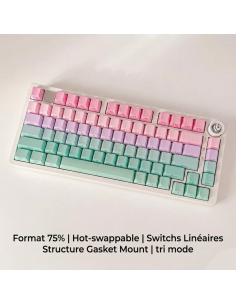 Clavier Aluminium LEOBOG Hi75 Tri-Mode - Gasket Mount 75% - Abidia Madagascar 2